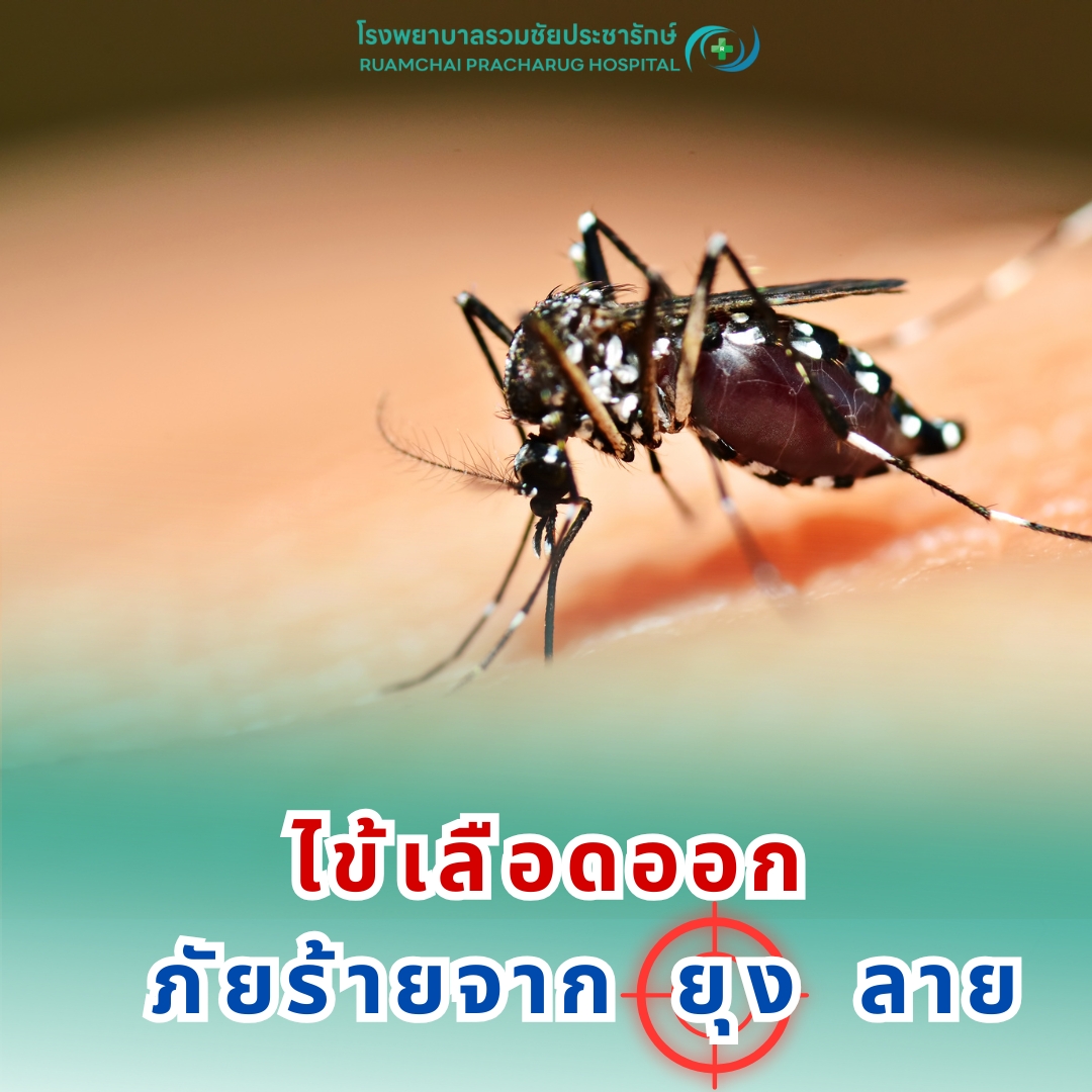 โรคไข้เลือดออก